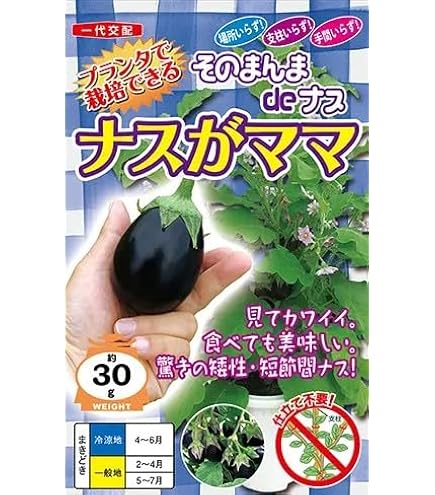水茄子50個 水茄子50個 楽天市場】【8/4~11限定！お気に入り登録でポイント